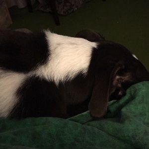 Meet your Posher, Kim